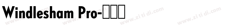 Windlesham Pro字体转换